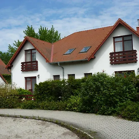 Party Panzio * Хедькё