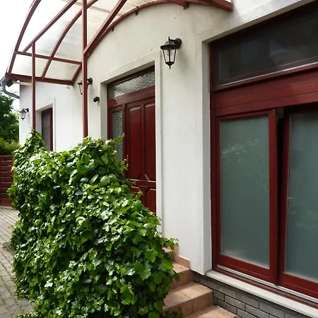 Party Panzio Отель типа 